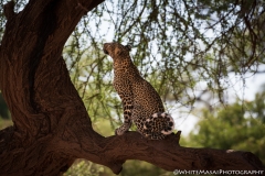 Samburu_Sept_2018-2678