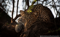 Samburu_Sept_2018-2684