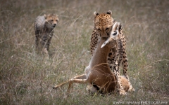 Samburu_Sept_2018-2830