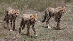 Samburu_Sept_2018-2835