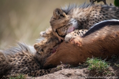 Samburu_Sept_2018-2876