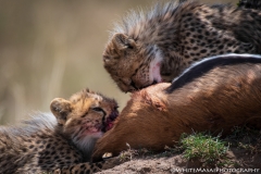 Samburu_Sept_2018-2882