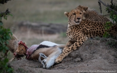 Samburu_Sept_2018-2921