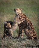 Samburu_Sept_2018-3116