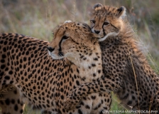 Samburu_Sept_2018-3171