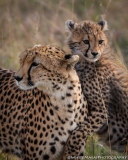 Samburu_Sept_2018-3174