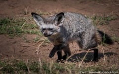 Samburu_Sept_2018-3233