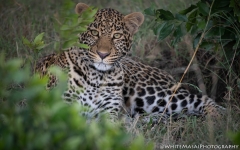 Samburu_Sept_2018-3418