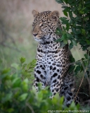 Samburu_Sept_2018-3428