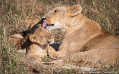 Samburu_Sept_2018-3510