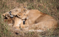 Samburu_Sept_2018-3519