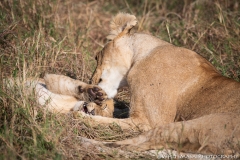 Samburu_Sept_2018-3543