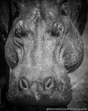 Samburu_Sept_2018-3669