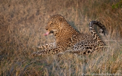 Samburu_Sept_2018-3863