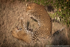 Samburu_Sept_2018-3968