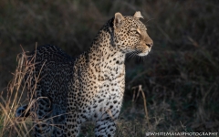 Samburu_Sept_2018-4026