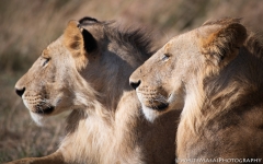 Samburu_Sept_2018-4228