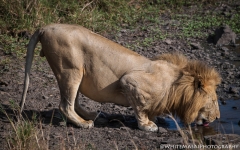 Samburu_Sept_2018-4296