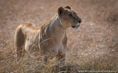 Samburu_Sept_2018-4348
