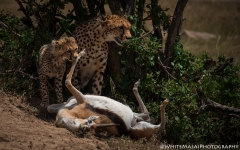 Samburu_Sept_2018-7008