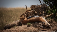 Samburu_Sept_2018-7038