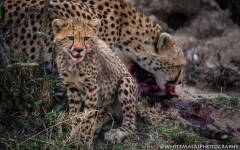 Samburu_Sept_2018-7047