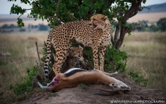 Samburu_Sept_2018-7152