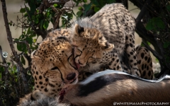 Samburu_Sept_2018-7191