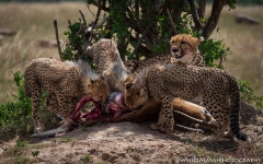 Samburu_Sept_2018-7257