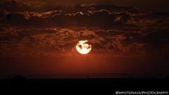 Samburu_Sept_2018-7329