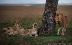 Samburu_Sept_2018-7408