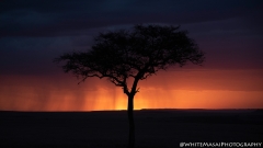 Samburu_Sept_2018-7608