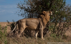 Samburu_Sept_2018-7612