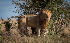 Samburu_Sept_2018-7614