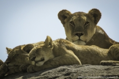 Tanzania_March2018-0128