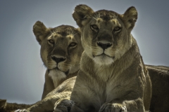 Tanzania_March2018-0177