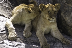 Tanzania_March2018-0310