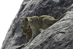 Tanzania_March2018-0322