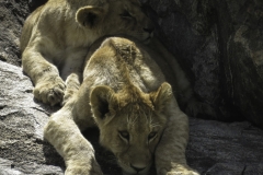 Tanzania_March2018-0394