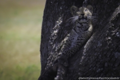 Tanzania_March2018-0421