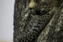 Tanzania_March2018-0438