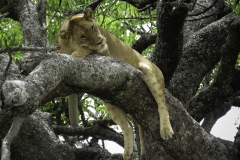 Tanzania_March2018-0534