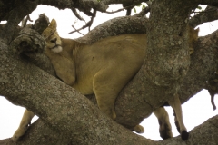 Tanzania_March2018-0598