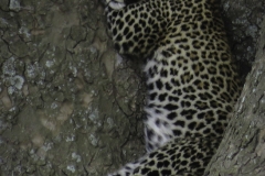 Tanzania_March2018-0699