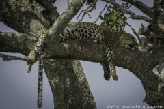 Tanzania_March2018-0709