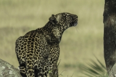 Tanzania_March2018-0727