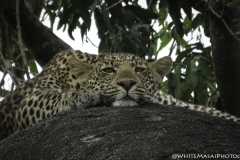 Tanzania_March2018-0797