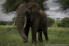 Tanzania_March2018-0862