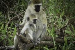 Tanzania_March2018-0899