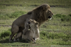 Tanzania_March2018-4078